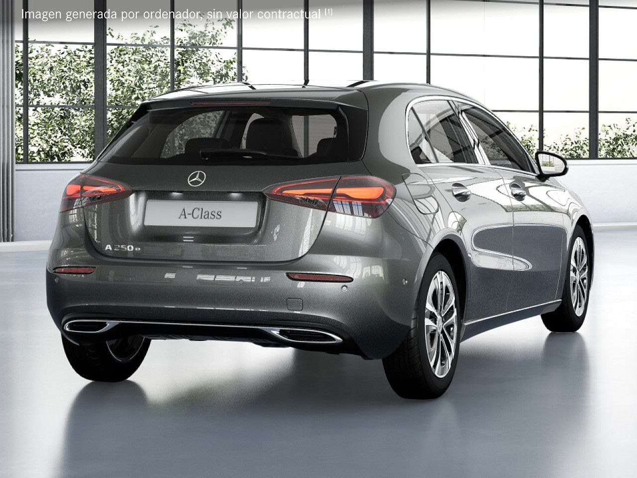 Foto de estudio 3 / 5