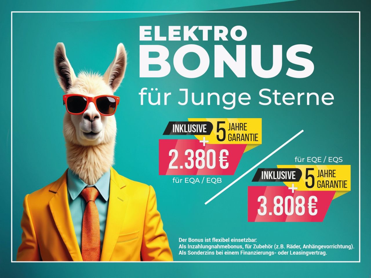 Fahrzeugbild 30 / 30