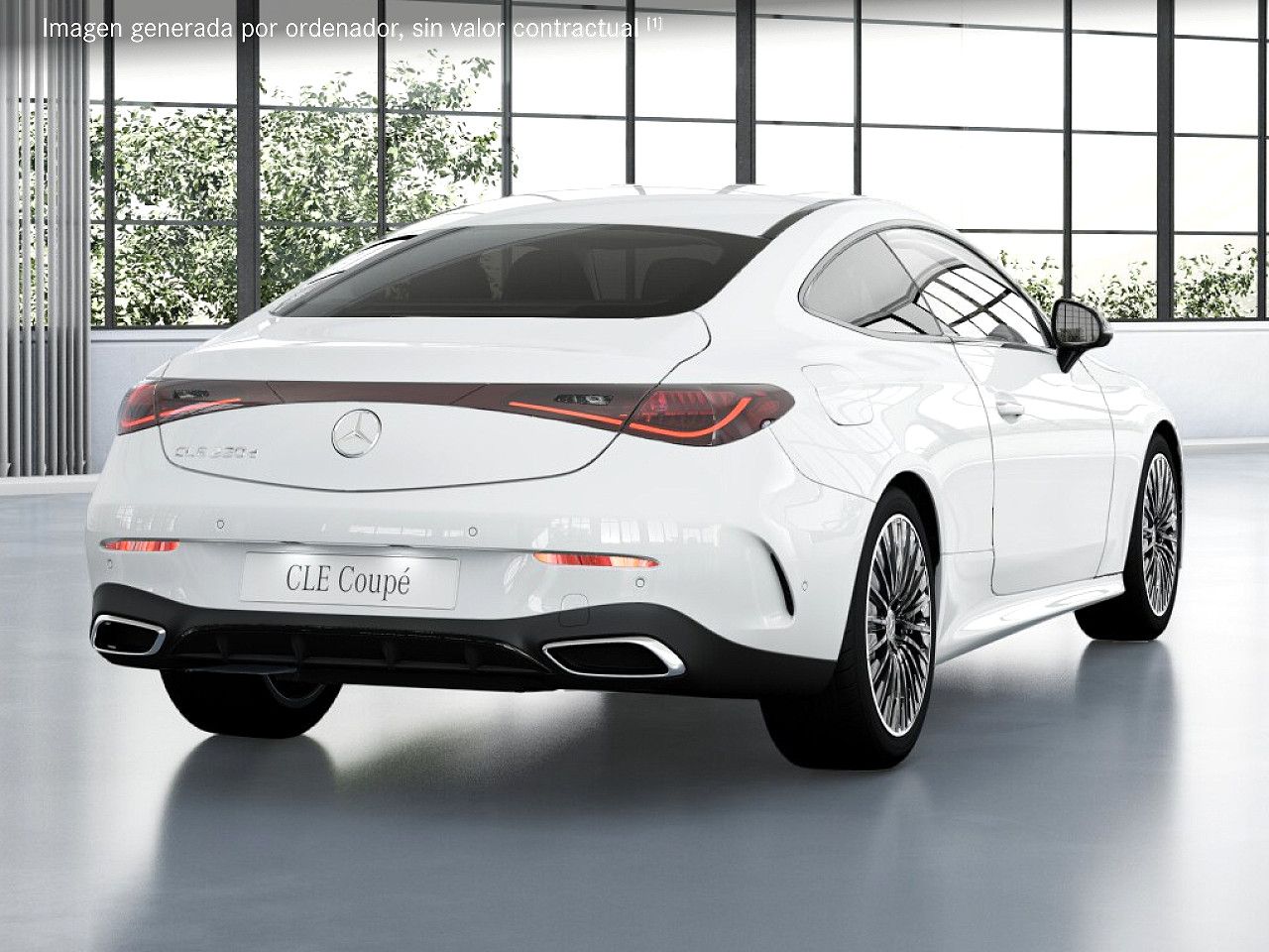 Foto de estudio 3 / 5