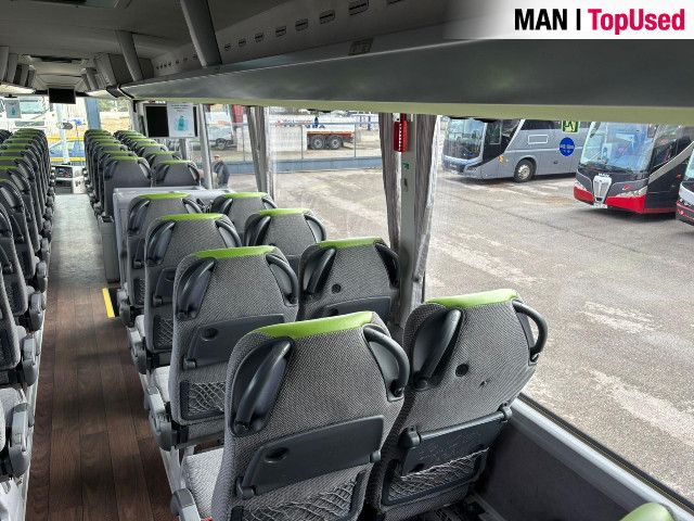 MAN LION'S COACH / R10 23