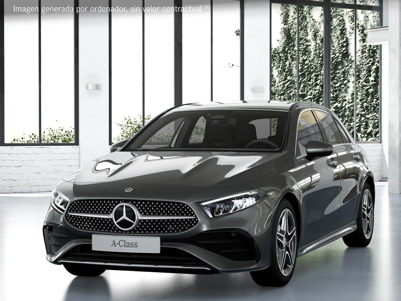 Foto de estudio 1 / 5