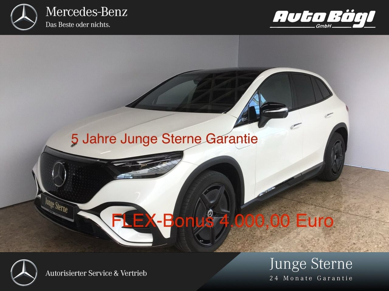 Fahrzeugbild 1 / 17