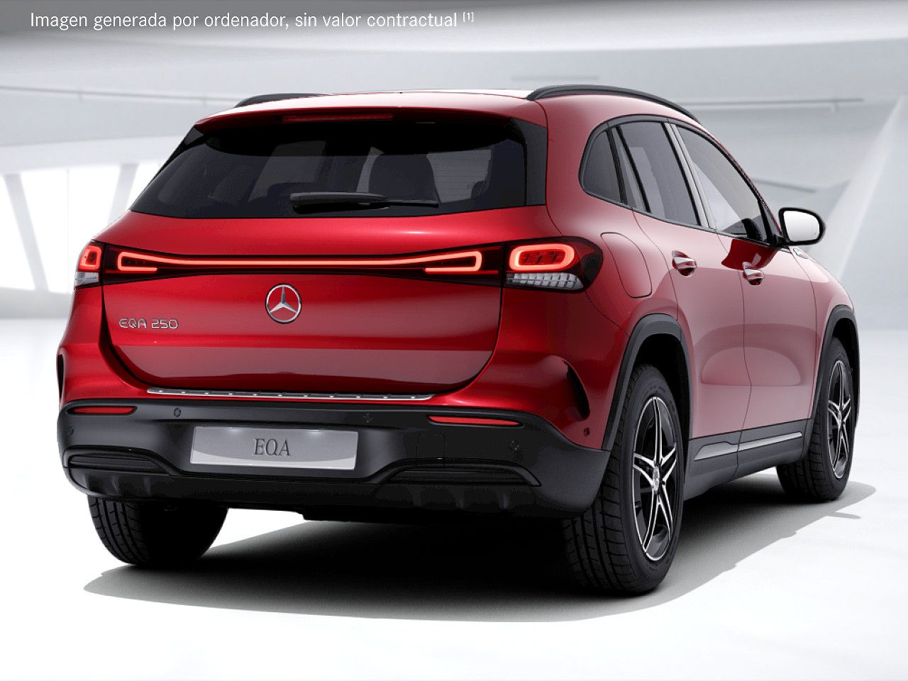 Foto de estudio 3 / 5