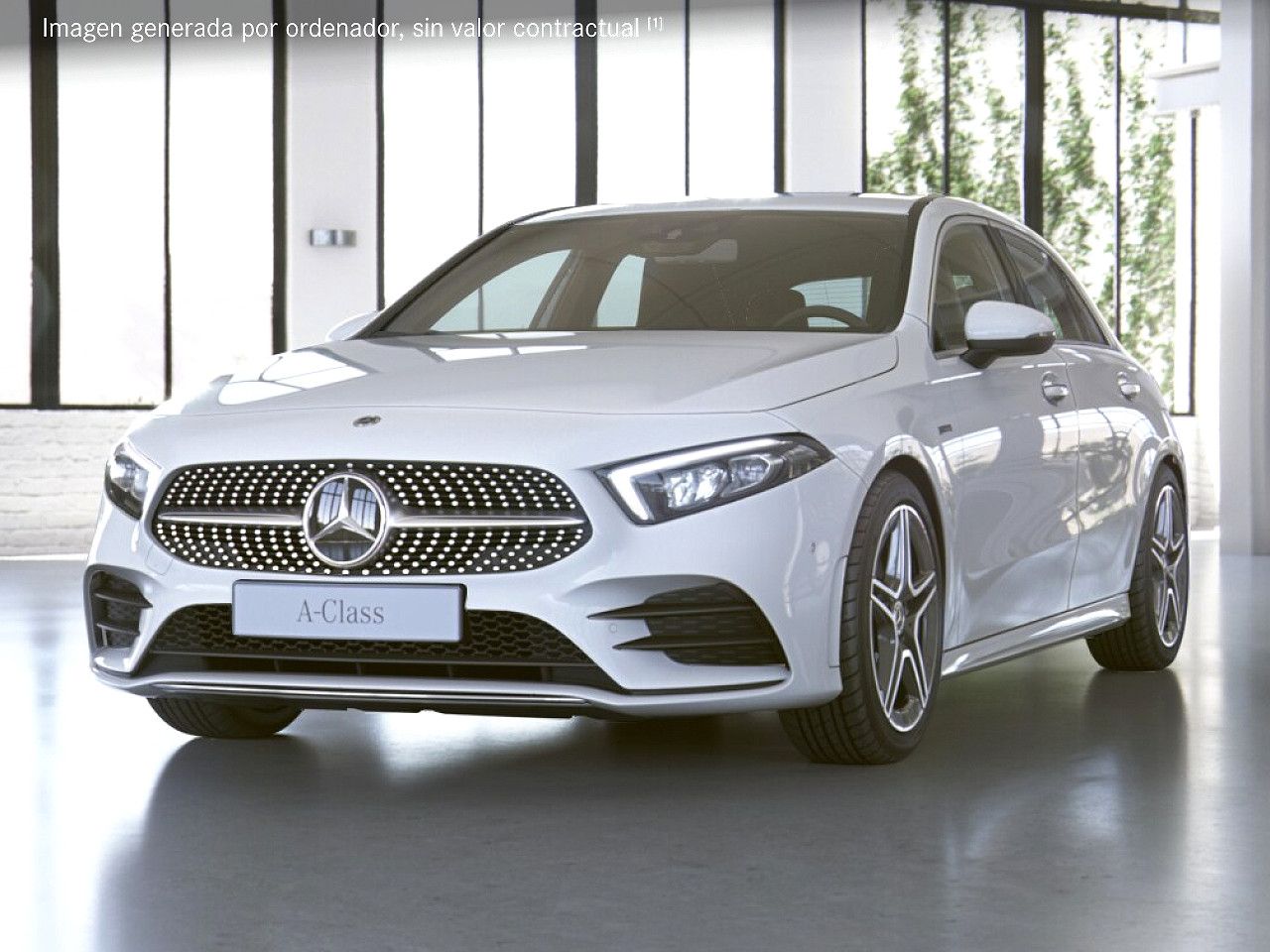 Foto de estudio 1 / 5