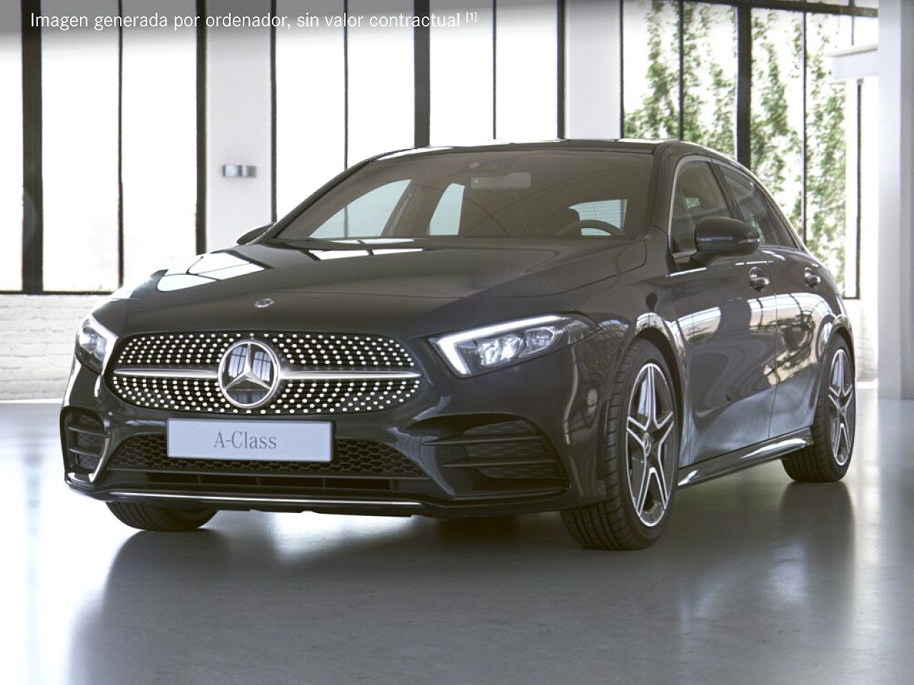 Foto de estudio 1 / 5