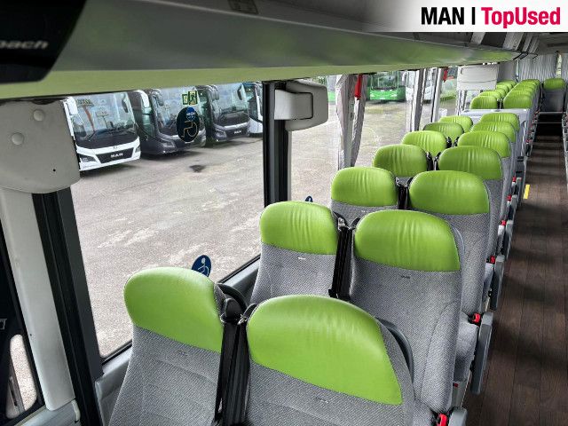 MAN LION'S COACH / R10 19