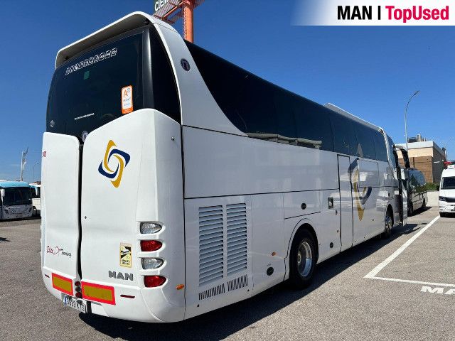 MAN Noge Titanium - 2019 7