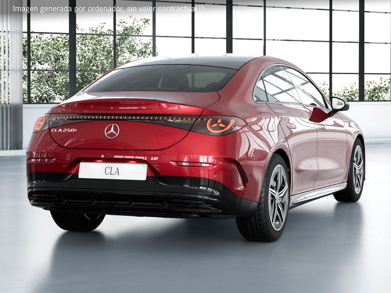 Foto de estudio 3 / 5