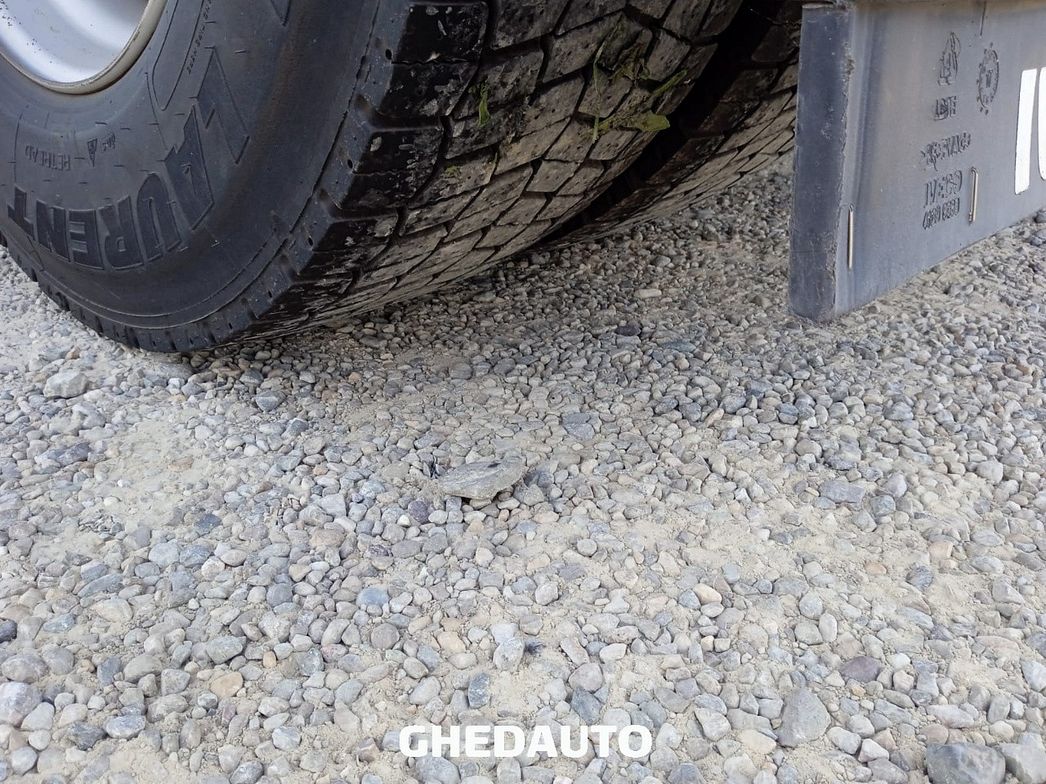IVECO | TRATTORE STRADALE IVECO STRALIS 480
