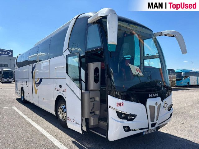MAN Noge Titanium - 2019