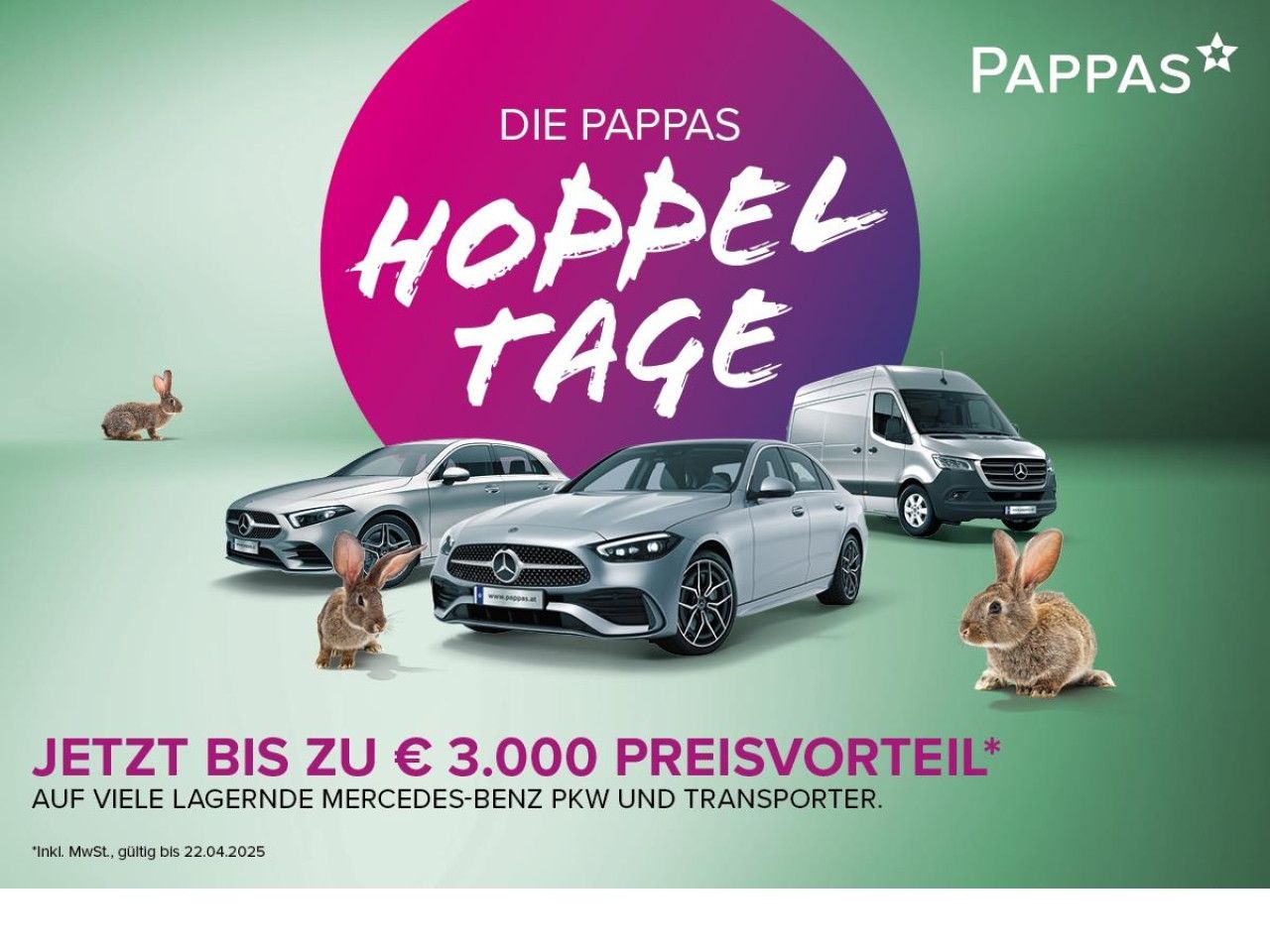 Fahrzeugbild 2 / 24