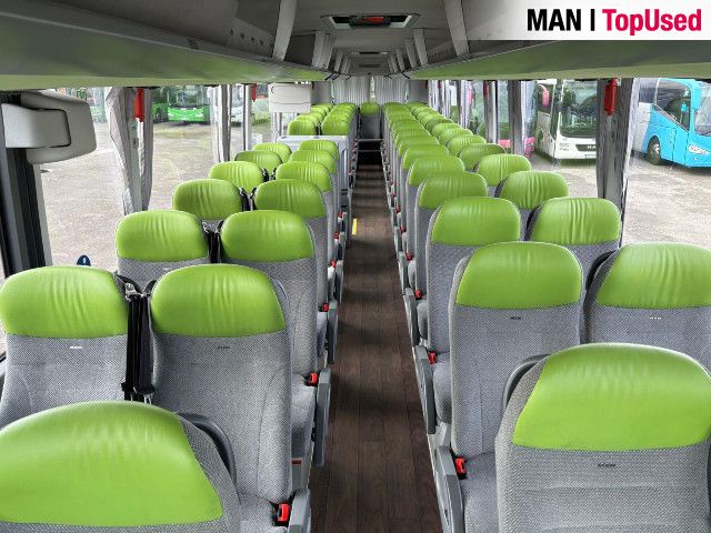 MAN LION'S COACH / R10 18