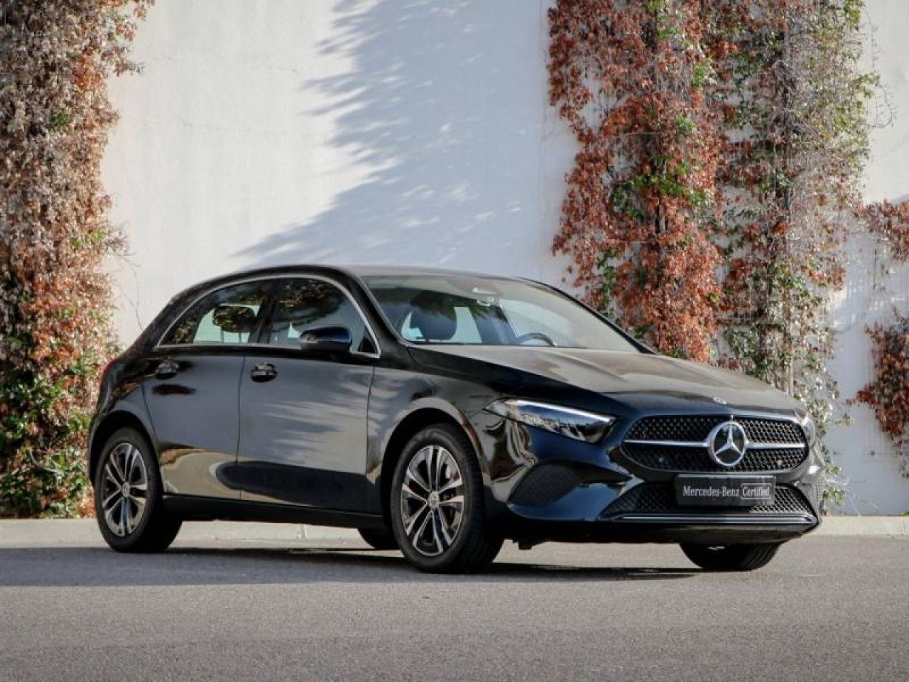 Photo du v&eacute;hicule 3 / 18