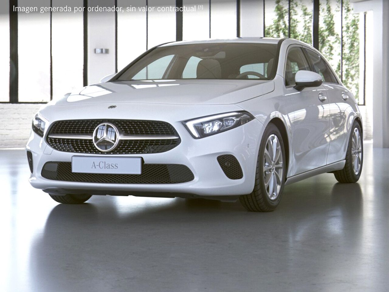 Foto de estudio 1 / 5