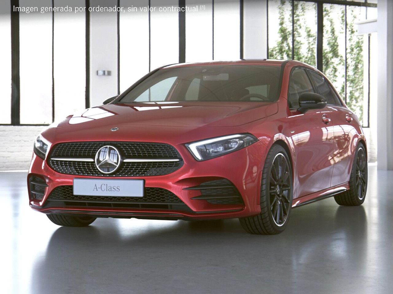 Foto de estudio 1 / 5