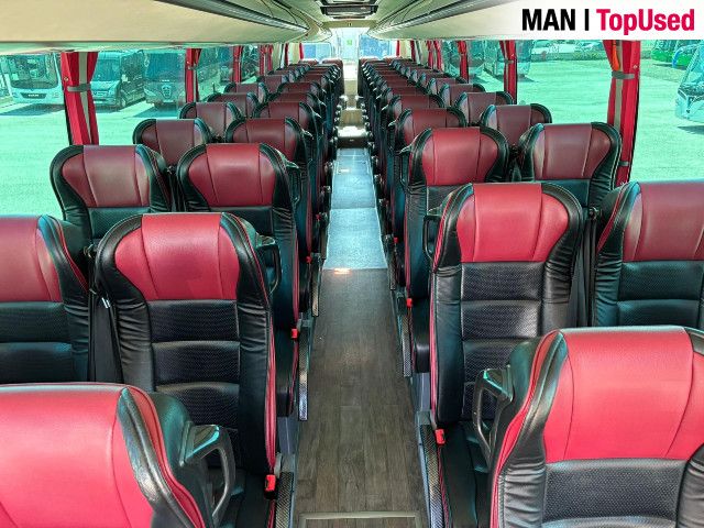 MAN Noge Titanium - 2019 20