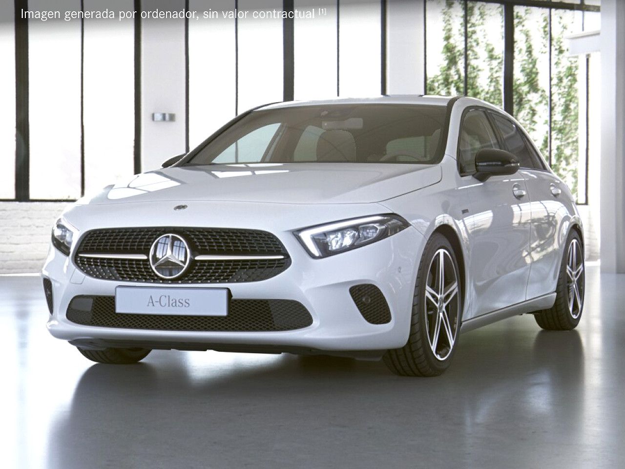 Foto de estudio 1 / 5