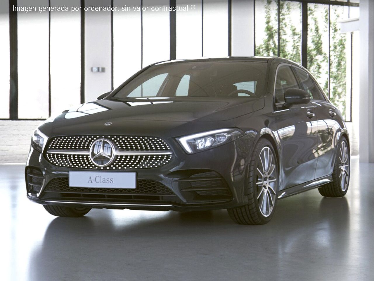 Foto de estudio 1 / 5