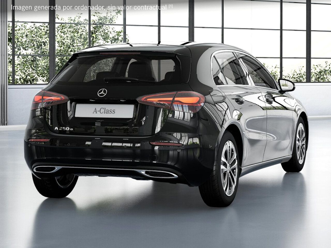 Foto de estudio 3 / 5