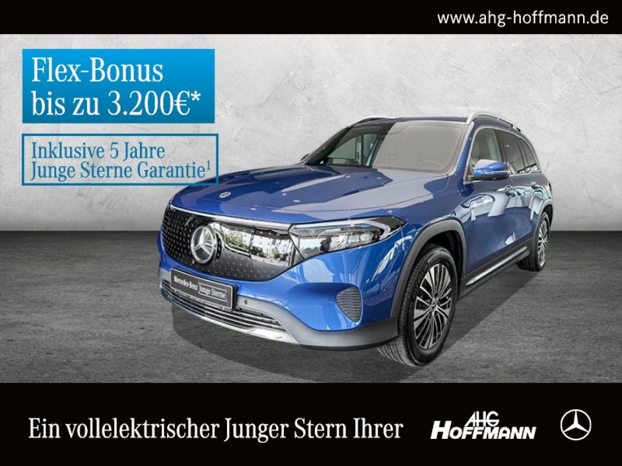 Fahrzeugbild 1 / 16