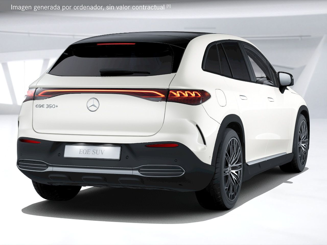 Foto de estudio 3 / 5