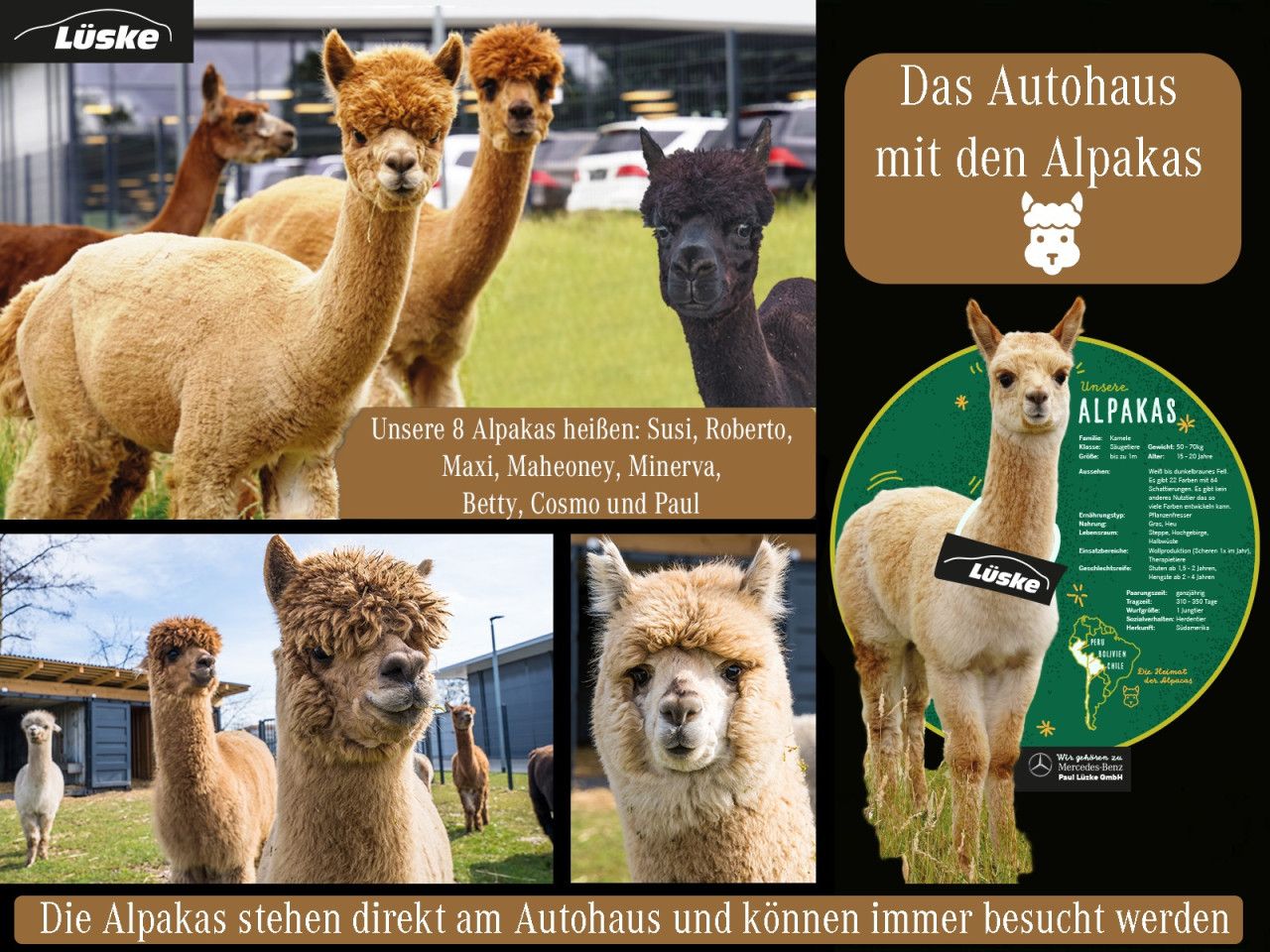 Fahrzeugbild 28 / 30