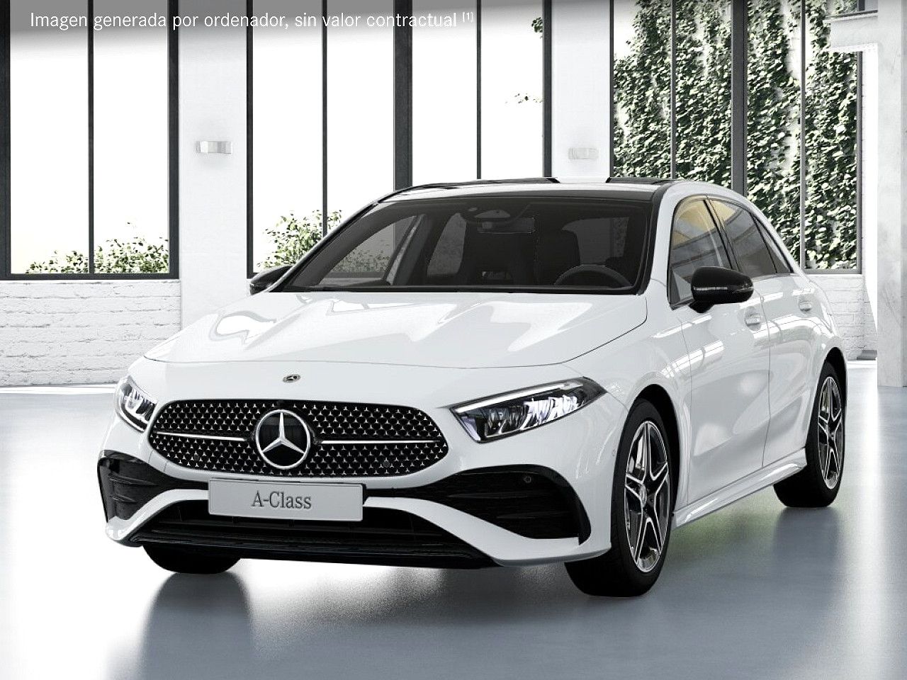 Foto de estudio 1 / 5