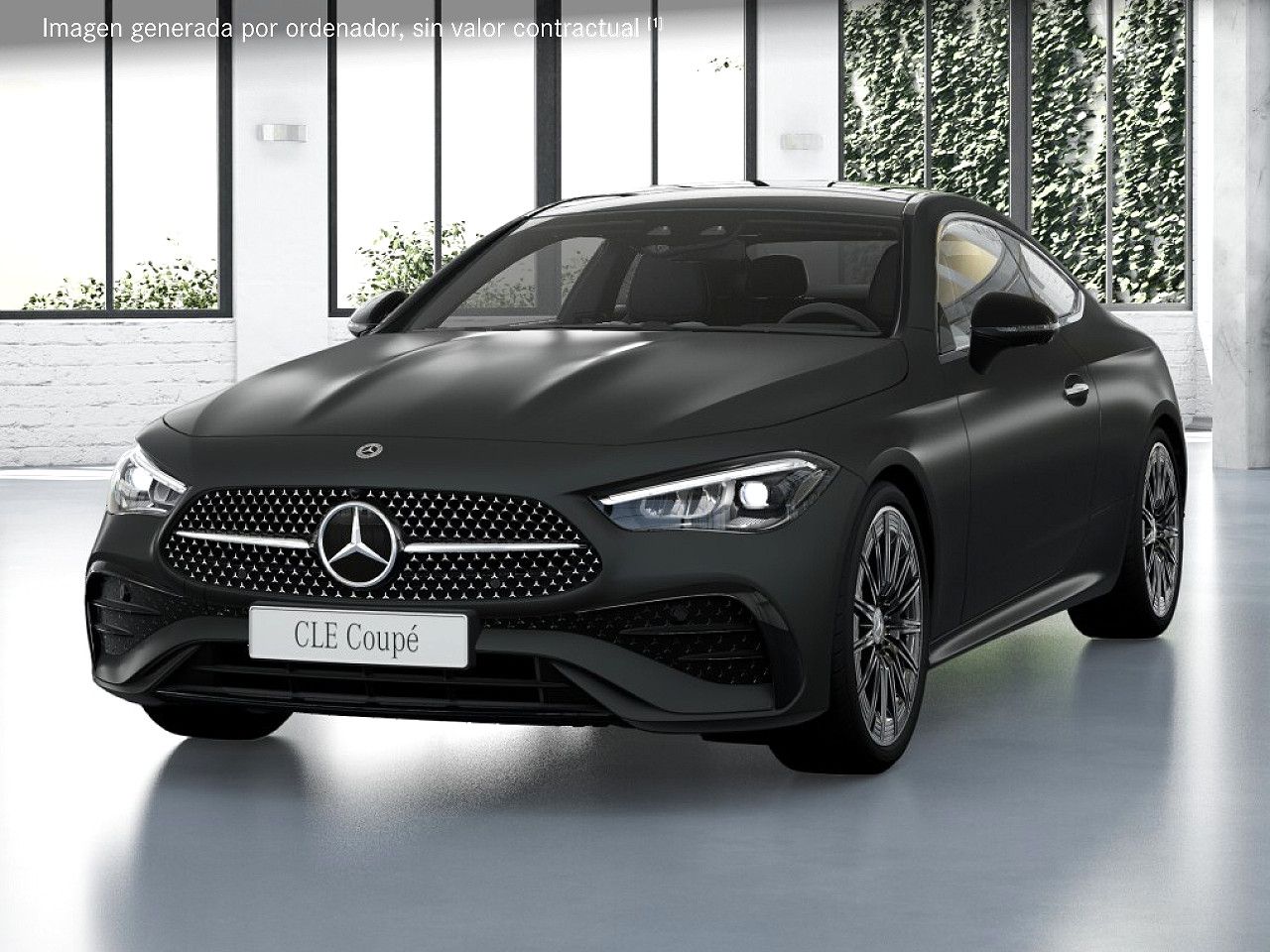 Foto de estudio 1 / 5