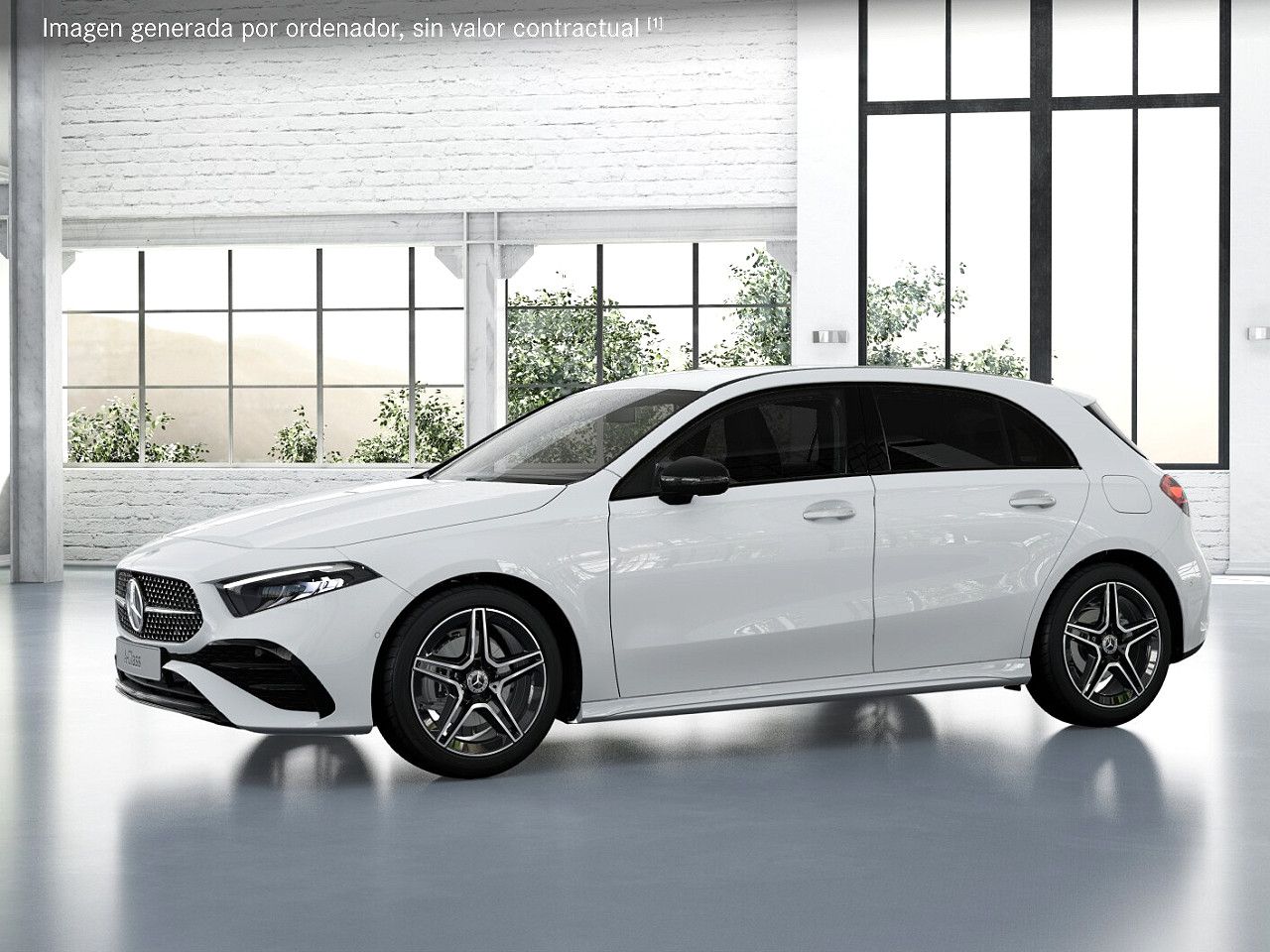 Foto de estudio 2 / 5