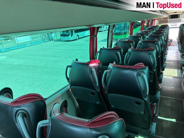 MAN Noge Titanium 24